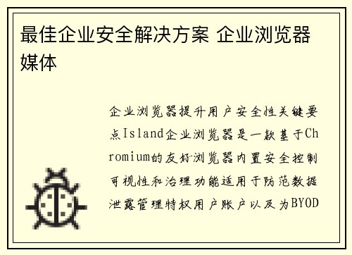 最佳企业安全解决方案 企业浏览器 媒体 最佳企业安全解决方案 企业浏览器 媒体